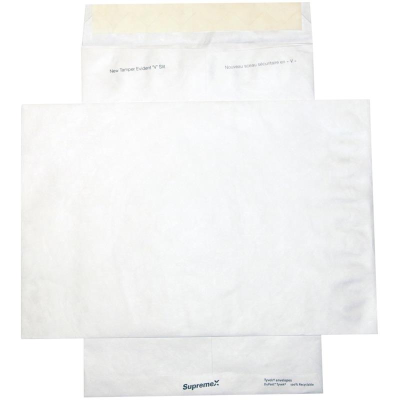 Image Tyvek Envelope