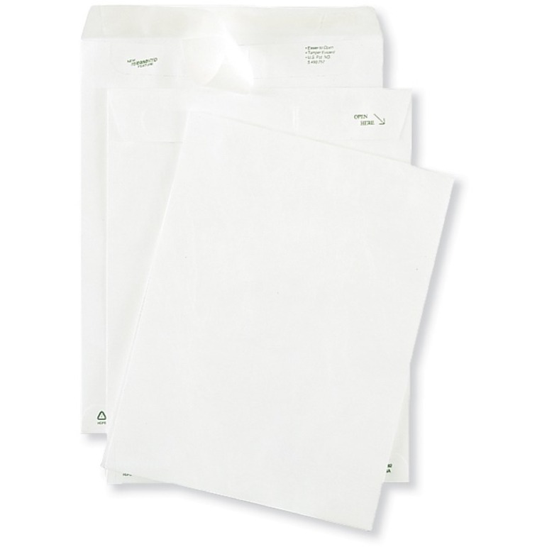 Image Tyvek Envelope